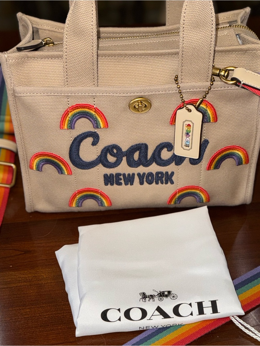 Coach Pride Canvas Tote NWOT Rainbow Embroidered + Strap + Dustbag